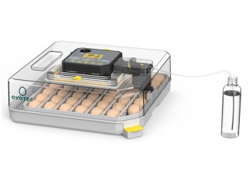 Conheça os diferenciais da Chocadeira OvoTec 48H Pro e por que ela pode aumentar sua taxa de eclosão