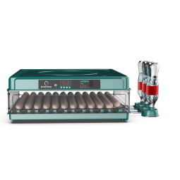 Chocadeira Automática para 130 Ovos