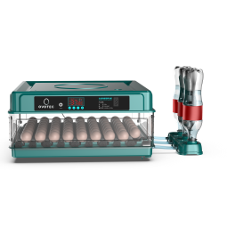 Chocadeira Automática para 72 Ovos