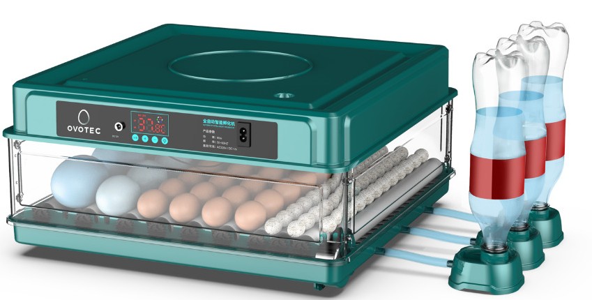 Chocadeira automática OvoTec com controle digital de temperatura e umidade.